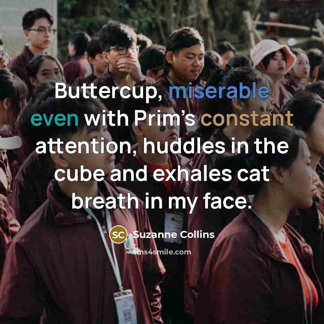“Buttercup, miserable even with Prim’s constant attention, huddles in the cube and exhales cat breath in my face.” quote by Suzanne Collins