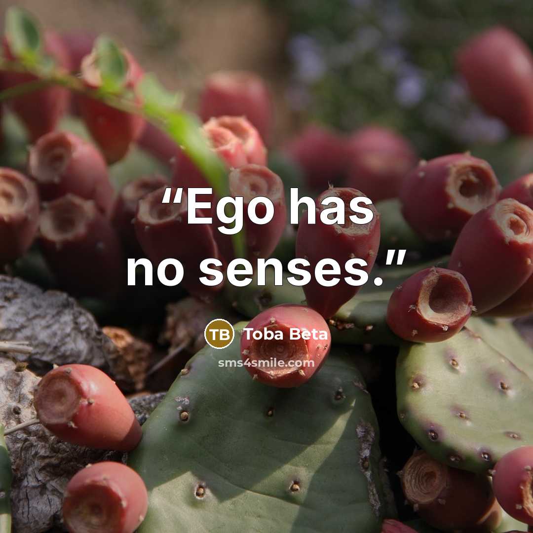 “Ego has no senses.” quote by Toba Beta