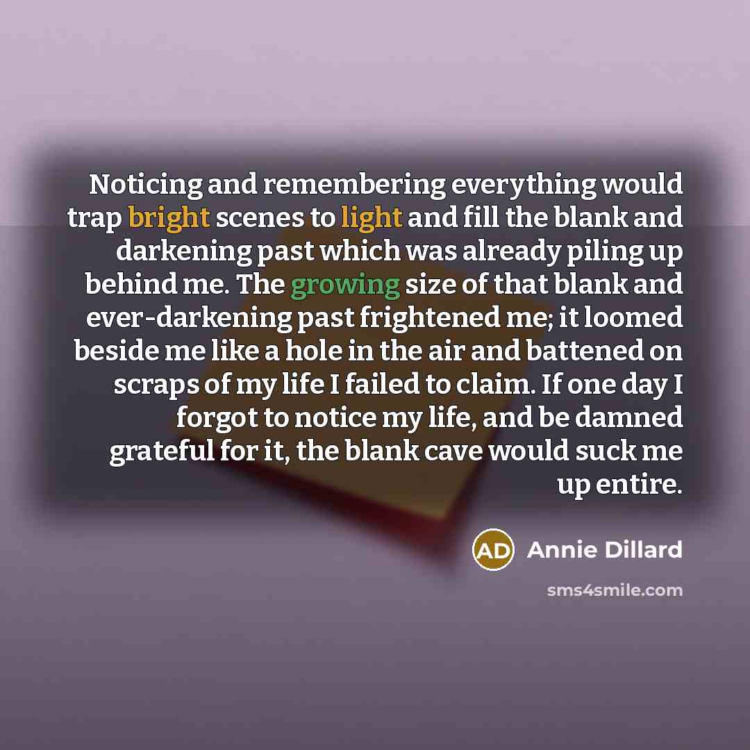 “Noticing and remembering everything would trap bright scenes to light and fill the blank and darkening past which was already piling up behind me. The growing size of that blank and ever-darkening past frightened me; it loomed beside me like a hole in the air and battened on scraps of my life I…” quote by Annie Dillard
