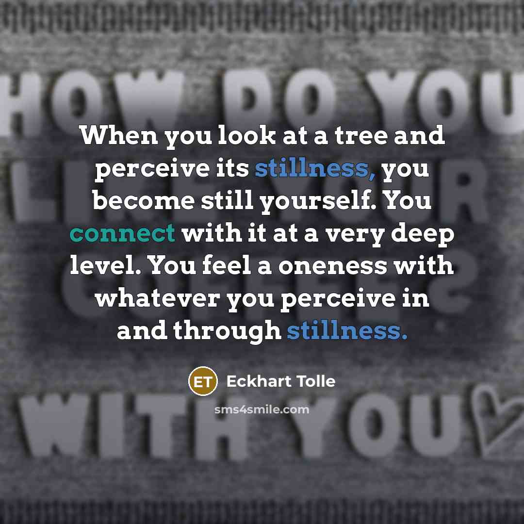 “When you look at a tree and perceive its stillness, you become still yourself. You connect with it at a very deep level. You feel a oneness with whatever you perceive in and through stillness.” quote by Eckhart Tolle