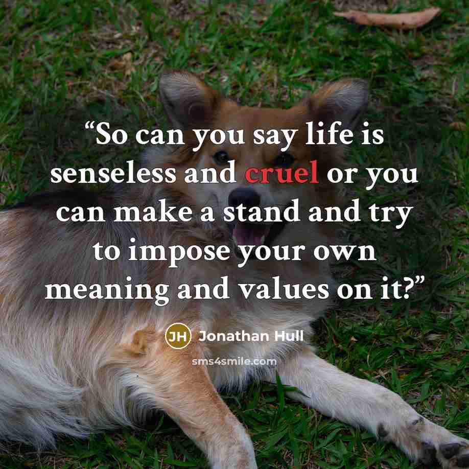 “So can you say life is senseless and cruel or you can make a stand and try to impose your own meaning and values on it?” quote by Jonathan Hull