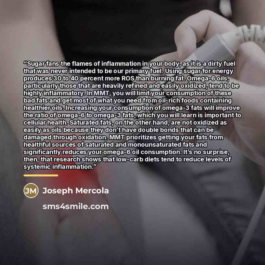“Sugar fans the flames of inflammation in your body, as it is a dirty fuel that was never intended to be our primary fuel. Using sugar for energy produces 30 to 40 percent more ROS than burning fat. Omega-6 oils, particularly those that are heavily refined and easily oxidized, tend to be highly…” quote by Joseph Mercola