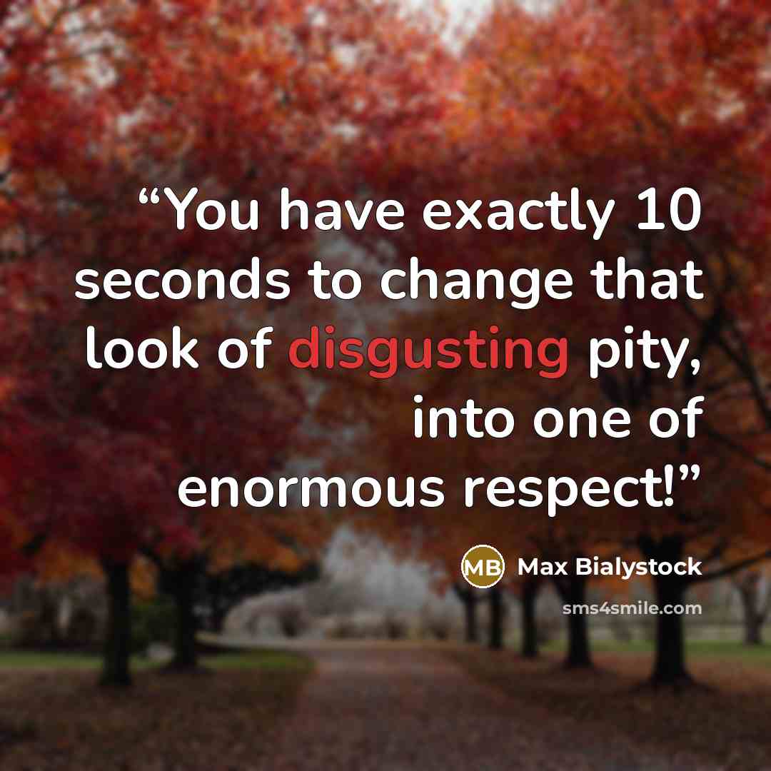 “You have exactly 10 seconds to change that look of disgusting pity, into one of enormous respect!” quote by Max Bialystock