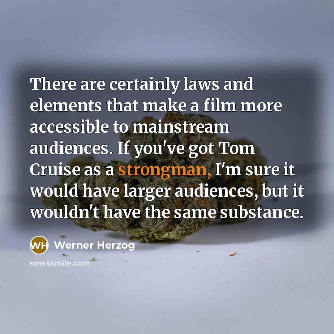 “There are certainly laws and elements that make a film more accessible to mainstream audiences. If you've got Tom Cruise as a strongman, I'm sure it would have larger audiences, but it wouldn't have the same substance.” quote by Werner Herzog
