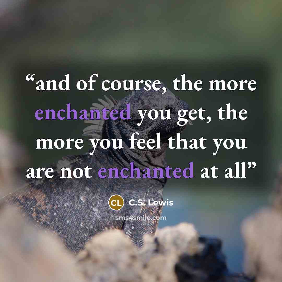 “and of course, the more enchanted you get, the more you feel that you are not enchanted at all” quote by C.S. Lewis
