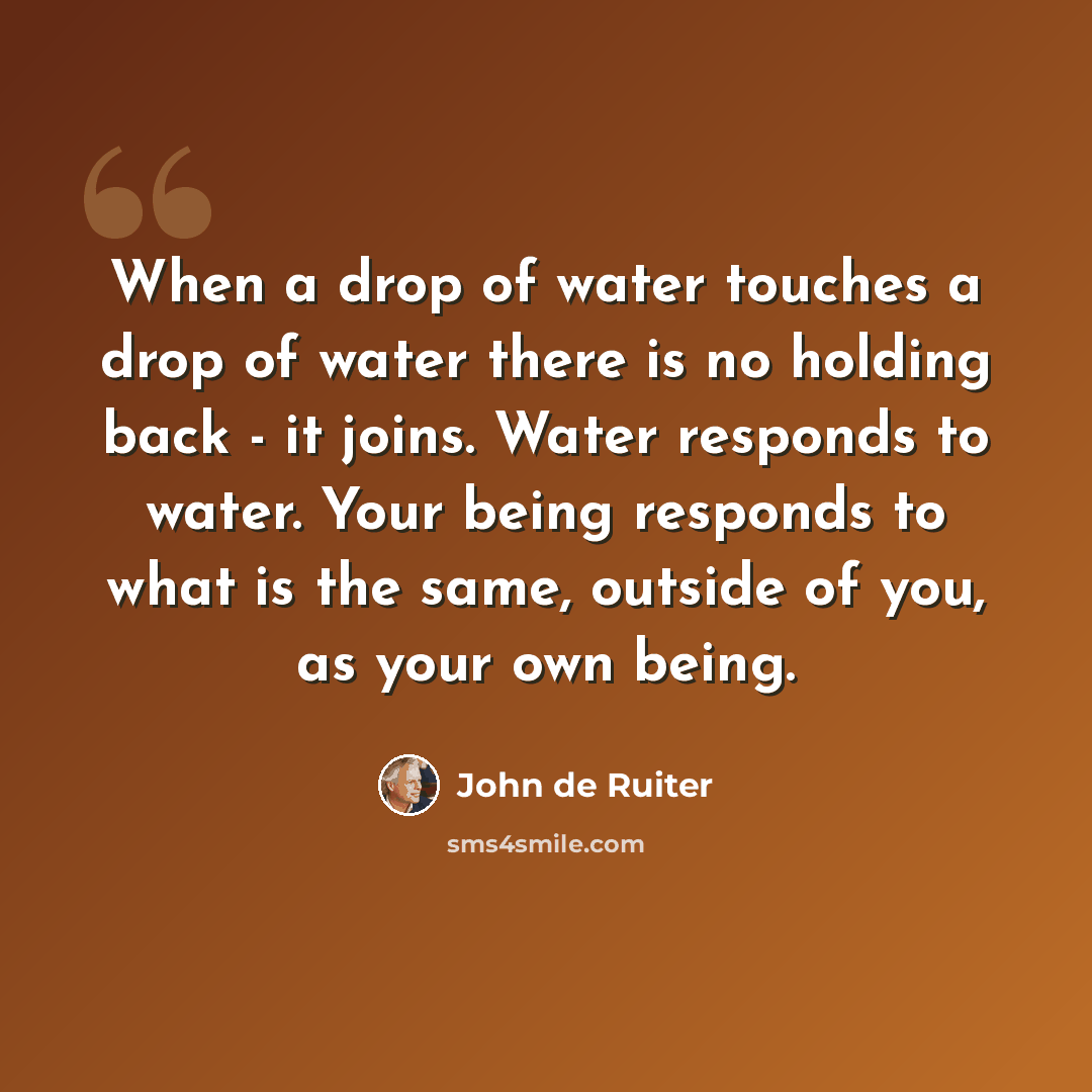 “When a drop of water touches a drop of water there is no holding back - it joins. Water responds to water. Your being responds to what is the same, outside of you, as your own being.” quote by John de Ruiter