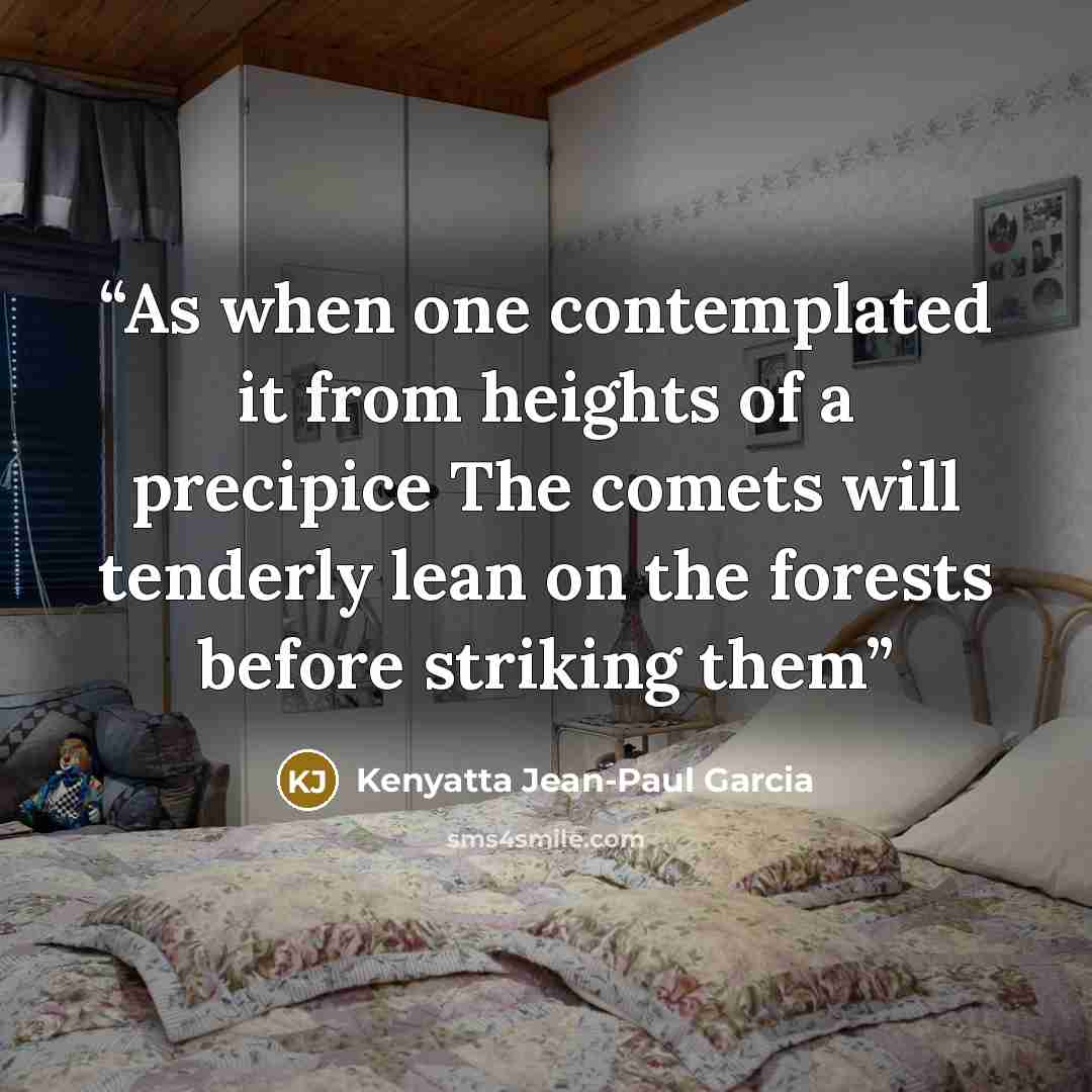 “As when one contemplated it from heights of a precipice The comets will tenderly lean on the forests before striking them” quote by Kenyatta Jean-Paul Garcia
