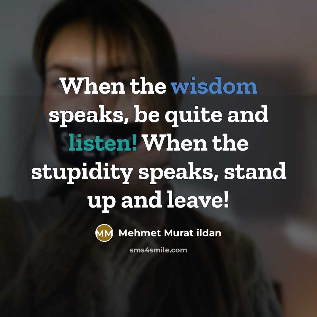 “When the wisdom speaks, be quite and listen! When the stupidity speaks, stand up and leave!” quote by Mehmet Murat Ildan