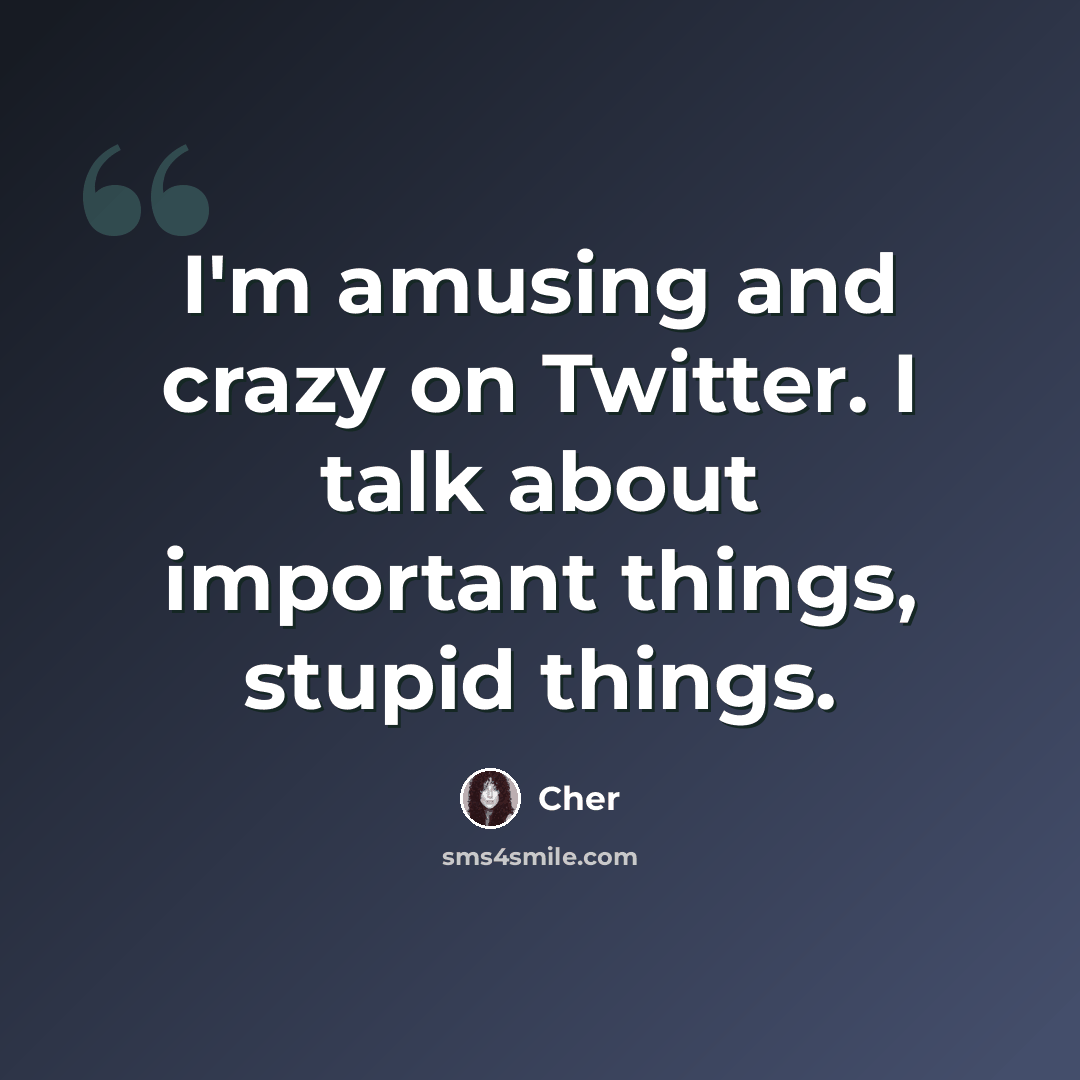 “I'm amusing and crazy on Twitter. I talk about important things, stupid things.” quote by Cher
