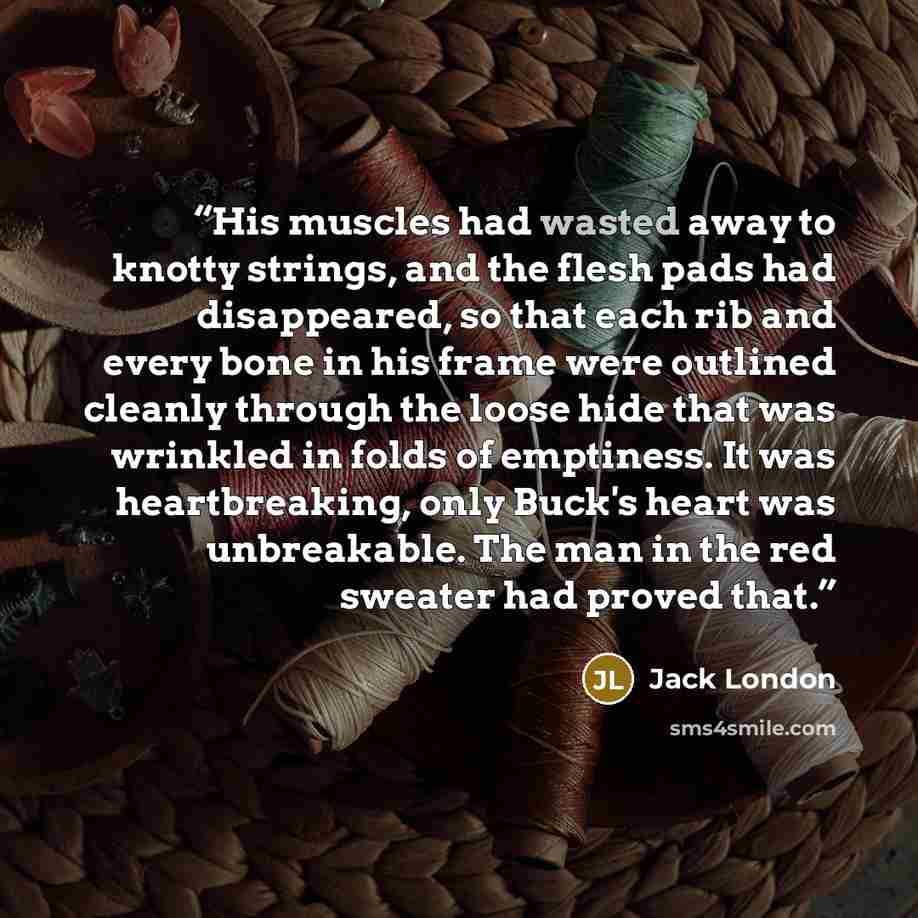 “His muscles had wasted away to knotty strings, and the flesh pads had disappeared, so that each rib and every bone in his frame were outlined cleanly through the loose hide that was wrinkled in folds of emptiness. It was heartbreaking, only Buck's heart was unbreakable. The man in the red sweater…” quote by Jack London