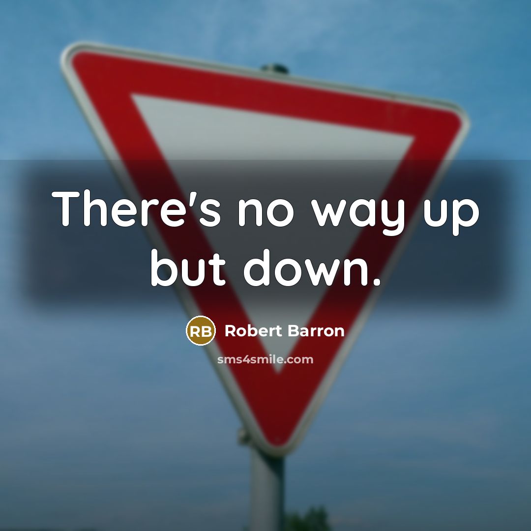“There's no way up but down.” quote by Robert Barron