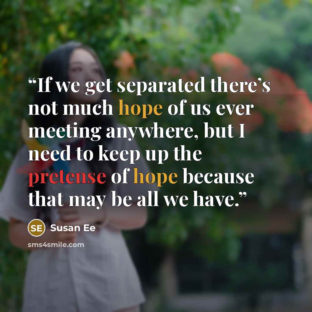 “If we get separated there’s not much hope of us ever meeting anywhere, but I need to keep up the pretense of hope because that may be all we have.” quote by Susan Ee
