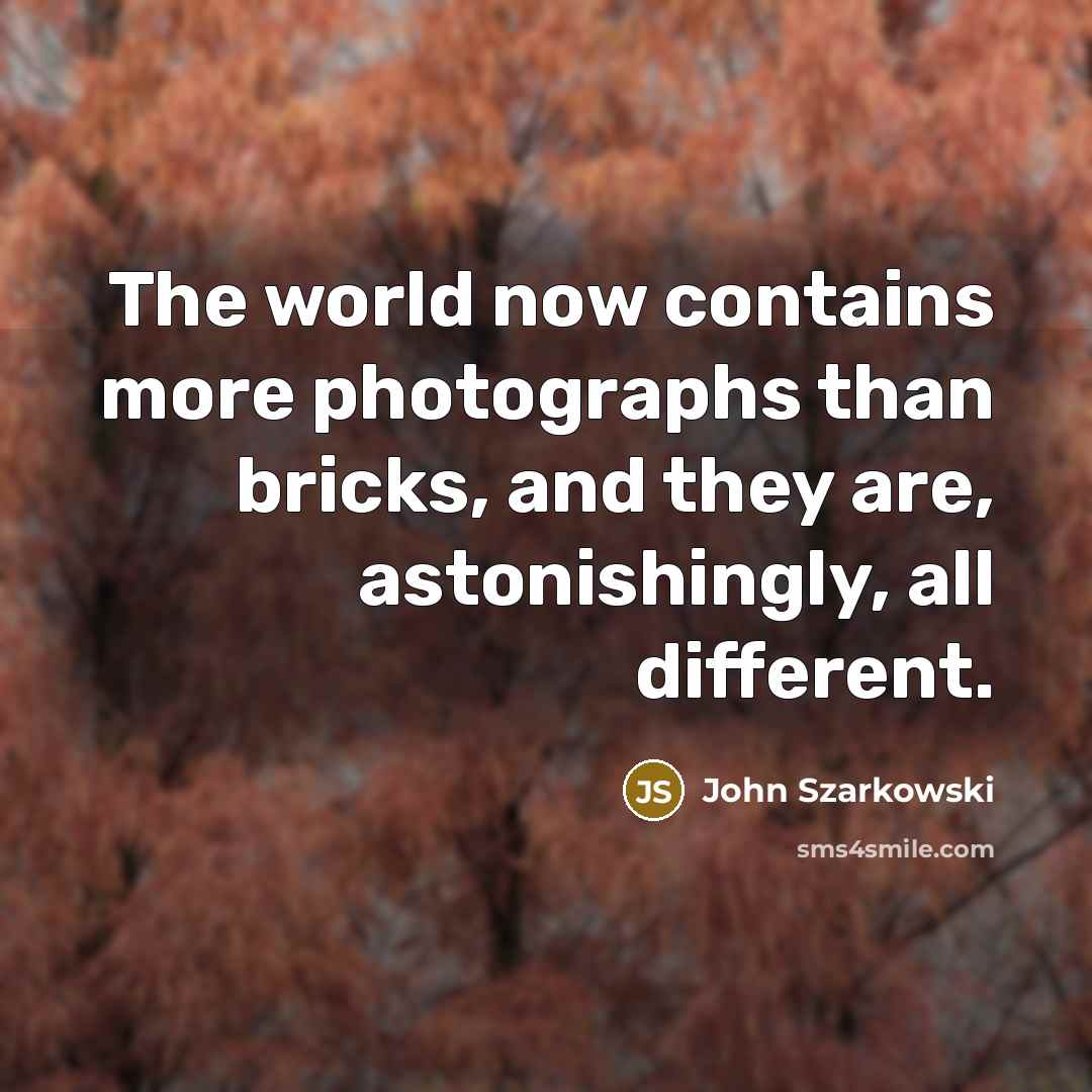 “The world now contains more photographs than bricks, and they are, astonishingly, all different.” quote by John Szarkowski