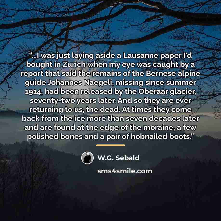 “...I was just laying aside a Lausanne paper I'd bought in Zurich when my eye was caught by a report that said the remains of the Bernese alpine guide Johannes Naegeli, missing since summer 1914, had been released by the Oberaar glacier, seventy-two years later. And so they are ever returning to…” quote by W.G. Sebald