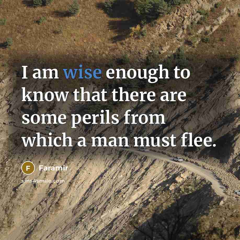 “I am wise enough to know that there are some perils from which a man must flee.” quote by Faramir