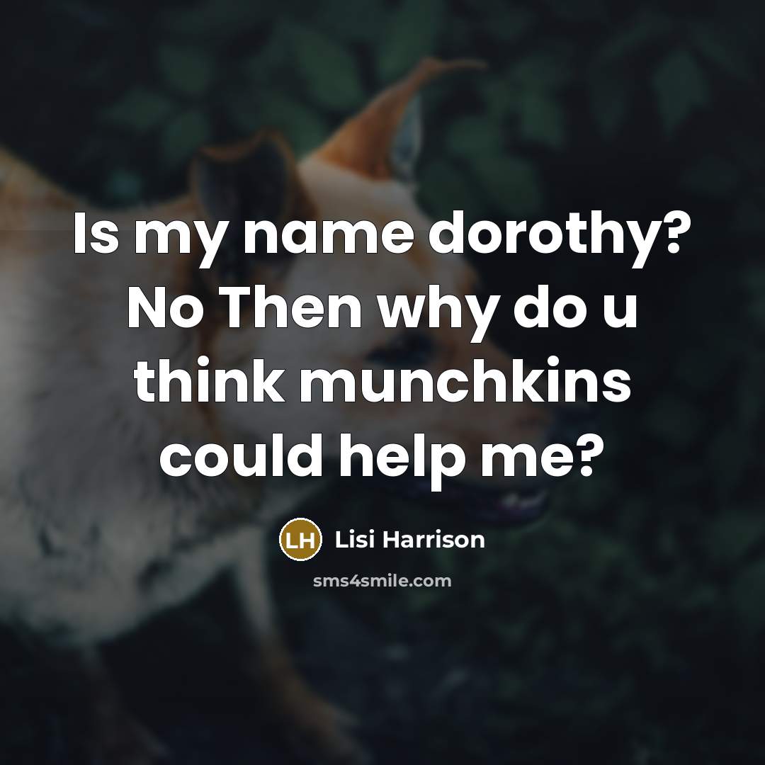 “Is my name dorothy? No Then why do u think munchkins could help me?” quote by Lisi Harrison