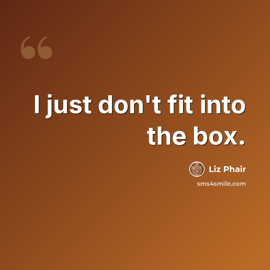 “I just don't fit into the box.” quote by Liz Phair