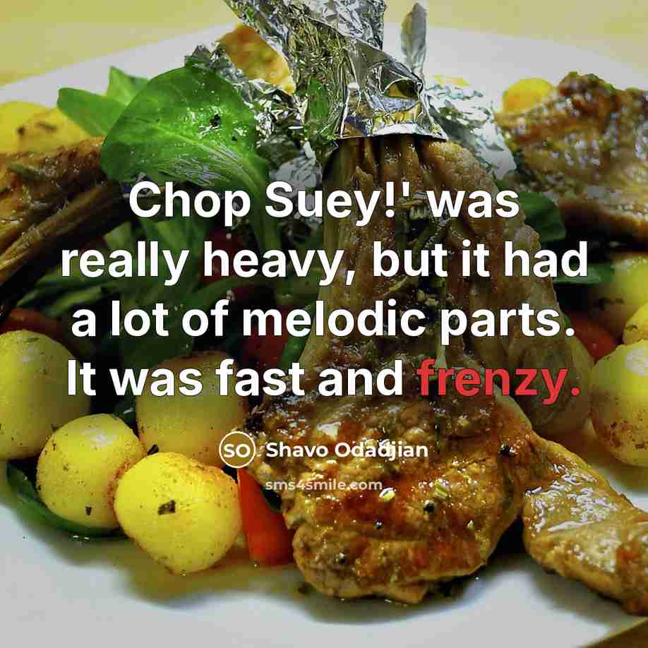 “Chop Suey!' was really heavy, but it had a lot of melodic parts. It was fast and frenzy.” quote by Shavo Odadjian