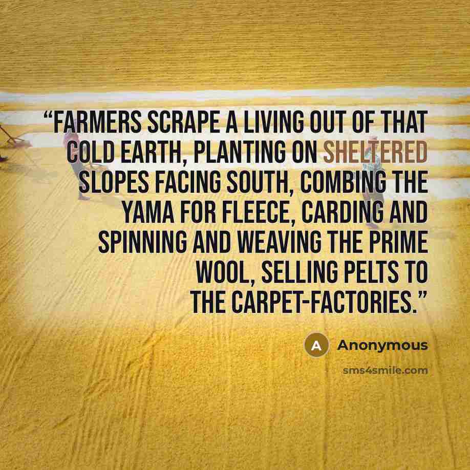 “Farmers scrape a living out of that cold earth, planting on sheltered slopes facing south, combing the yama for fleece, carding and spinning and weaving the prime wool, selling pelts to the carpet-factories.” quote by Anonymous