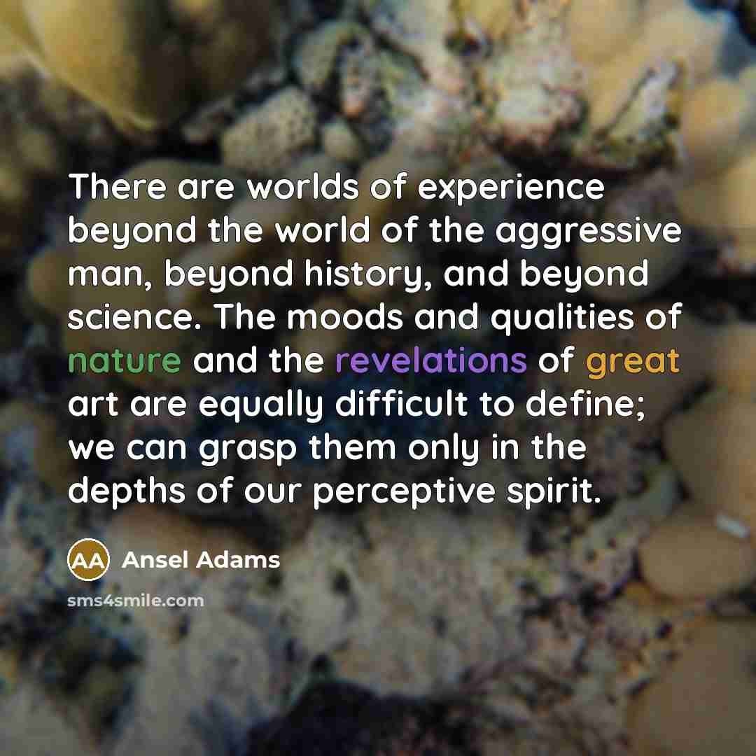 “There are worlds of experience beyond the world of the aggressive man, beyond history, and beyond science. The moods and qualities of nature and the revelations of great art are equally difficult to define; we can grasp them only in the depths of our perceptive spirit.” quote by Ansel Adams