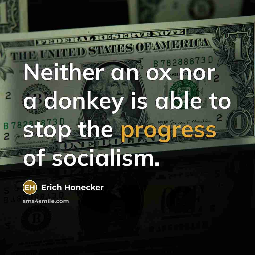 “Neither an ox nor a donkey is able to stop the progress of socialism.” quote by Erich Honecker