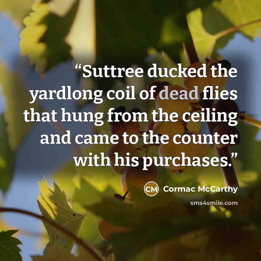 “Suttree ducked the yardlong coil of dead flies that hung from the ceiling and came to the counter with his purchases.” quote by Cormac McCarthy