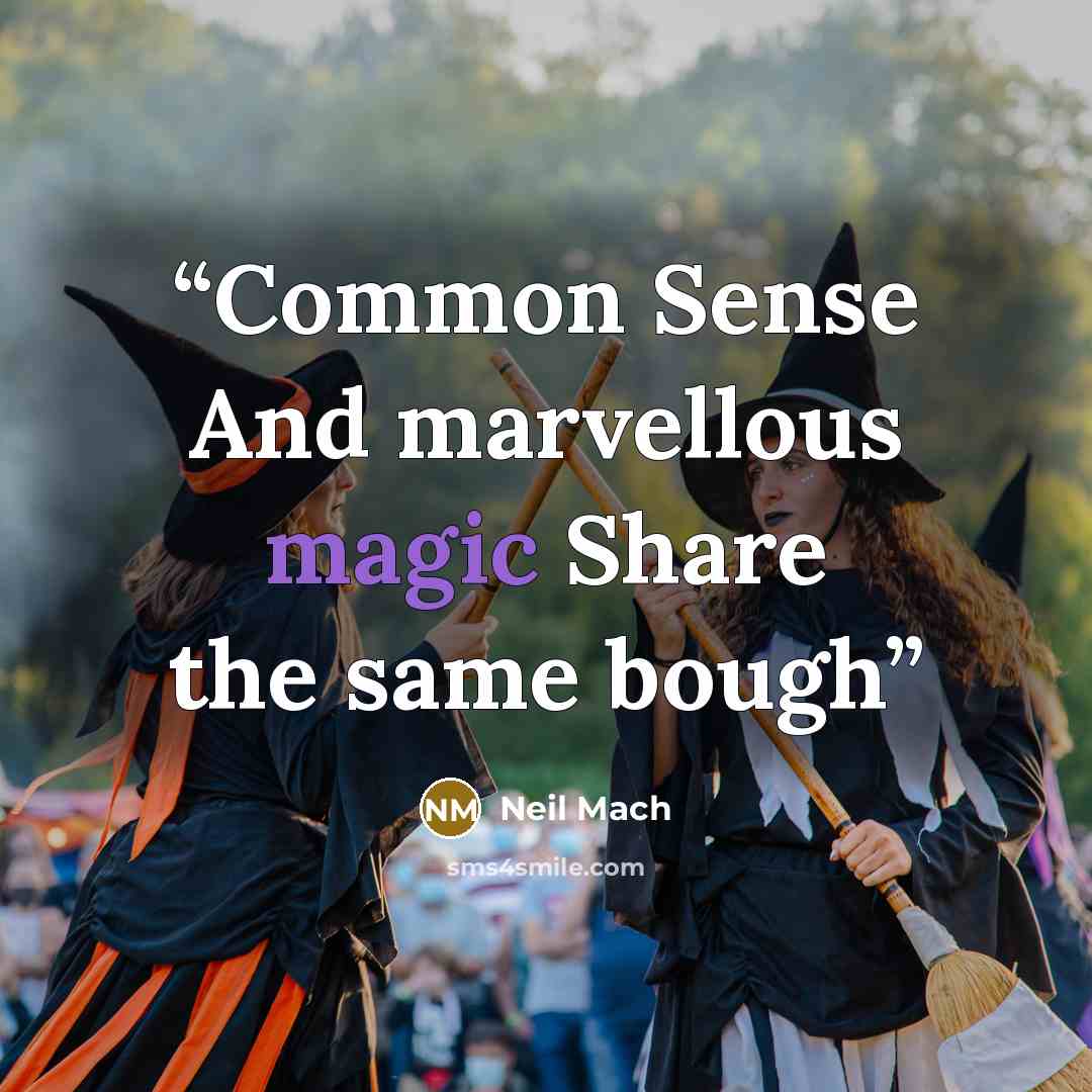 “Common Sense And marvellous magic Share the same bough” quote by Neil Mach