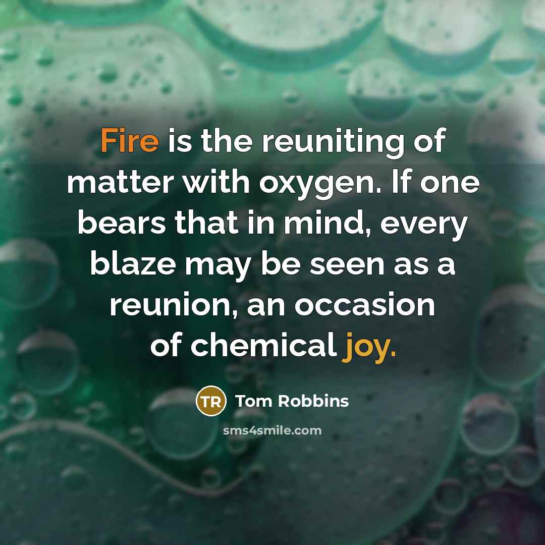 “Fire is the reuniting of matter with oxygen. If one bears that in mind, every blaze may be seen as a reunion, an occasion of chemical joy.” quote by Tom Robbins