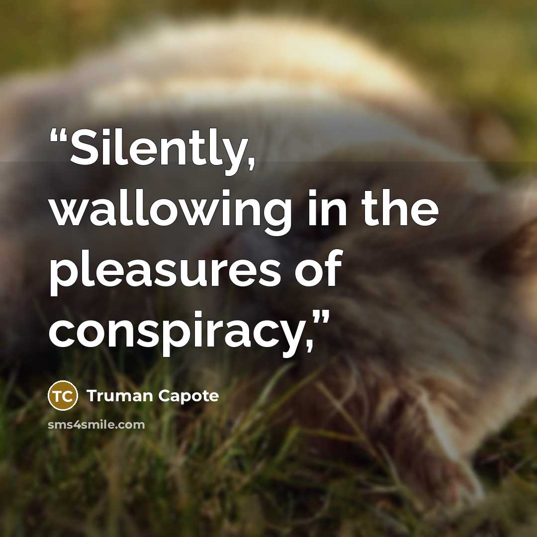 “Silently, wallowing in the pleasures of conspiracy,” quote by Truman Capote
