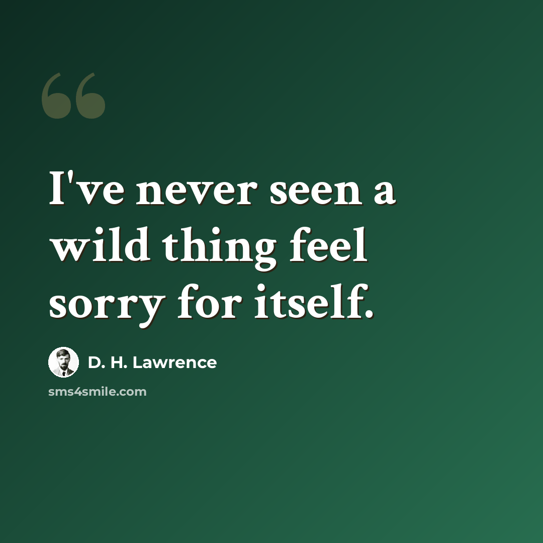 “I've never seen a wild thing feel sorry for itself.” quote by D. H. Lawrence