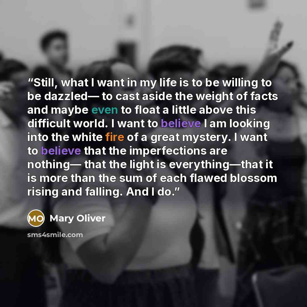 “Still, what I want in my life is to be willing to be dazzled— to cast aside the weight of facts and maybe even to float a little above this difficult world. I want to believe I am looking into the white fire of a great mystery. I want to believe that the imperfections are nothing— that the light…” quote by Mary Oliver