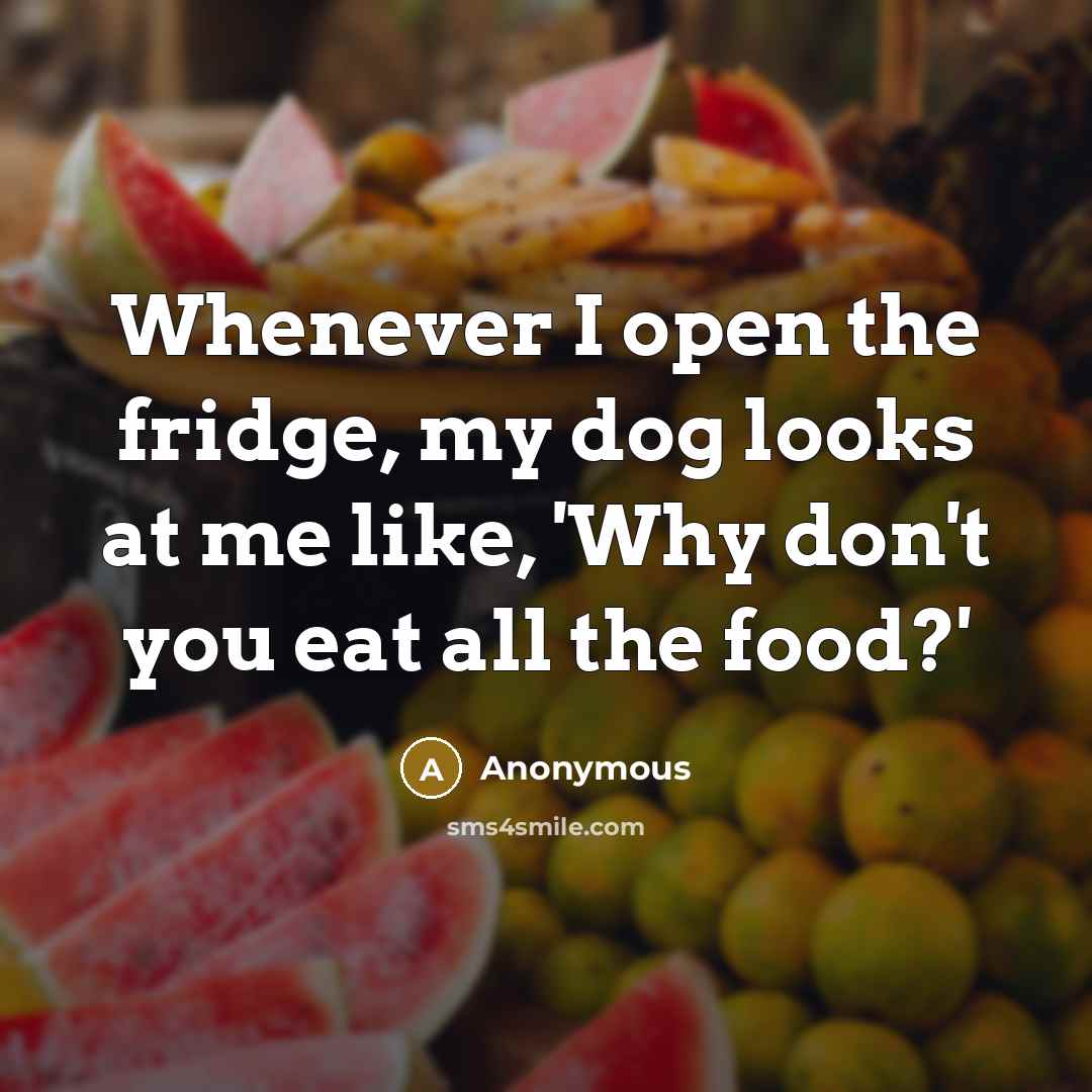 “Whenever I open the fridge, my dog looks at me like, 'Why don't you eat all the food?'” quote by Anonymous