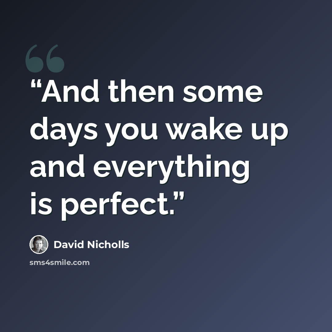 “And then some days you wake up and everything is perfect.” quote by David Nicholls