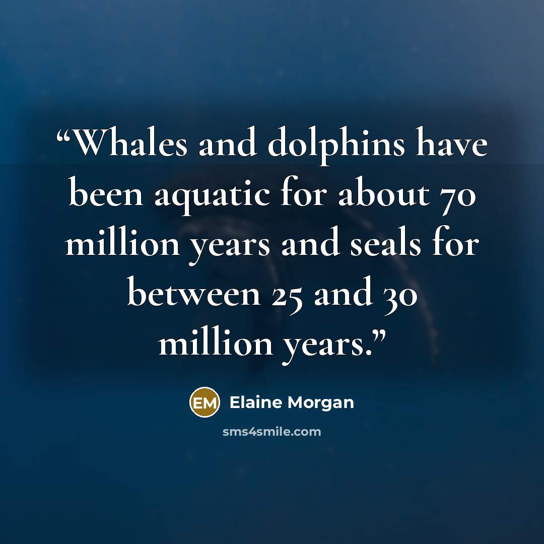 “Whales and dolphins have been aquatic for about 70 million years and seals for between 25 and 30 million years.” quote by Elaine Morgan