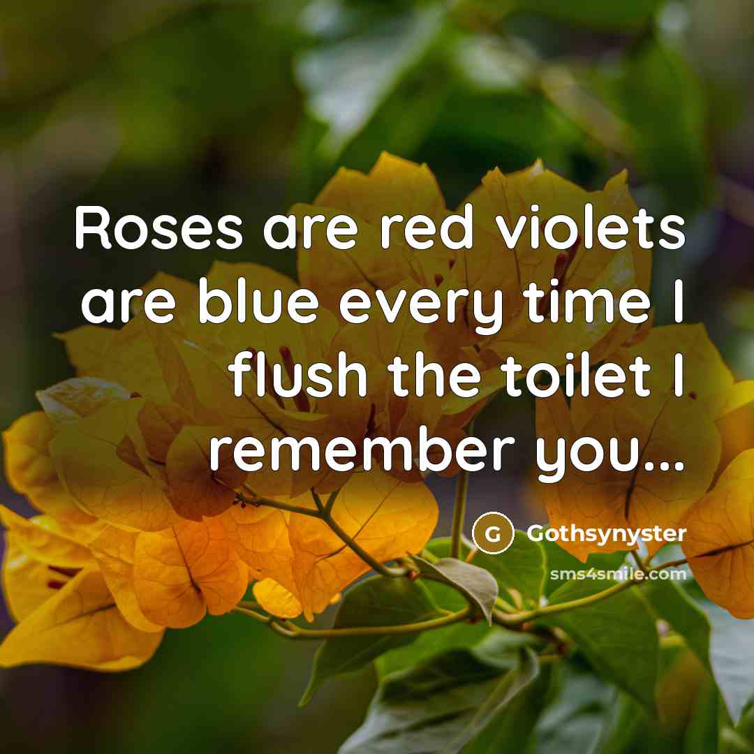 “Roses are red violets are blue every time I flush the toilet I remember you...” quote by Gothsynyster