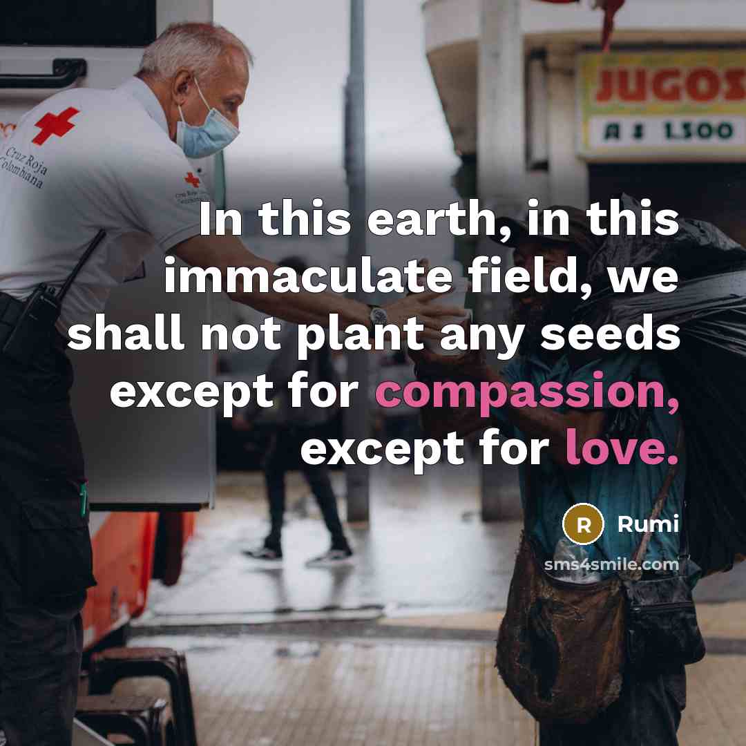 “In this earth, in this immaculate field, we shall not plant any seeds except for compassion, except for love.” quote by Rumi