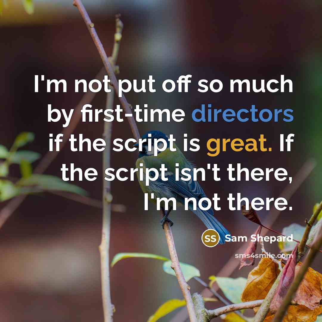 “I'm not put off so much by first-time directors if the script is great. If the script isn't there, I'm not there.” quote by Sam Shepard