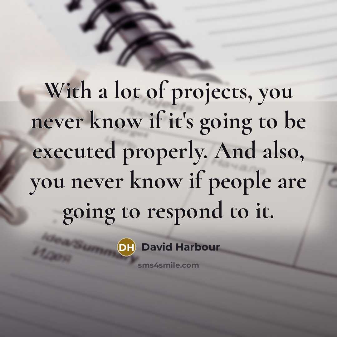 “With a lot of projects, you never know if it's going to be executed properly. And also, you never know if people are going to respond to it.” quote by David Harbour