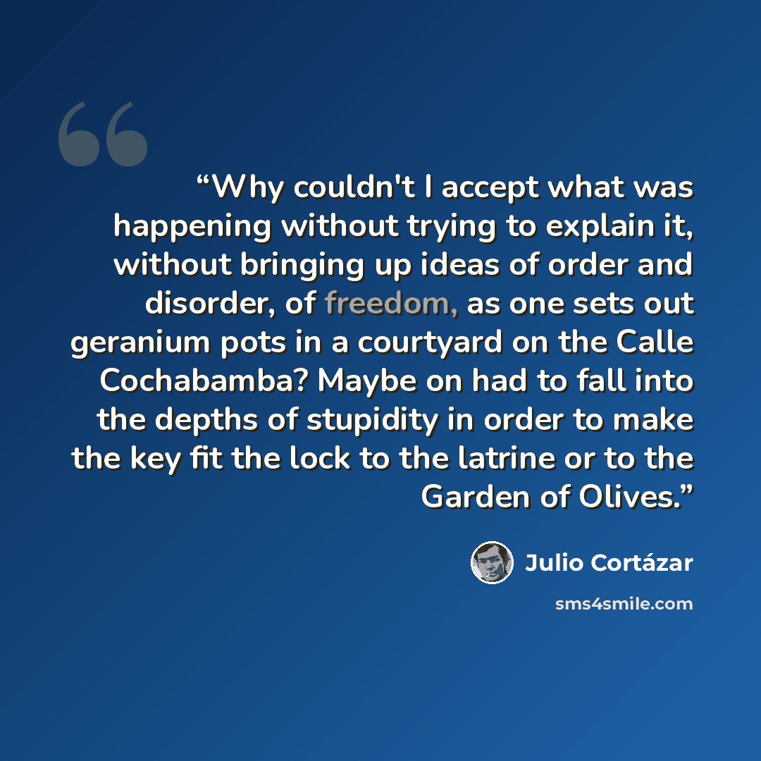 “Why couldn't I accept what was happening without trying to explain it, without bringing up ideas of order and disorder, of freedom, as one sets out geranium pots in a courtyard on the Calle Cochabamba? Maybe on had to fall into the depths of stupidity in order to make the key fit the lock to the…” quote by Julio Cortázar