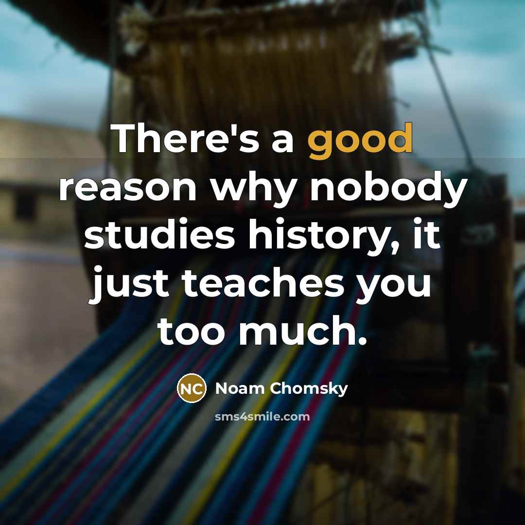 “There's a good reason why nobody studies history, it just teaches you too much.” quote by Noam Chomsky