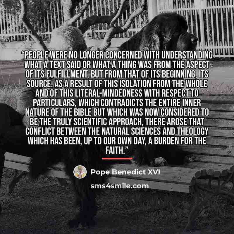 “People were no longer concerned with understanding what a text said or what a thing was from the aspect of its fulfillment, but from that of its beginning, its source. As a result of this isolation from the whole and of this literal-mindedness with respect to particulars, which contradicts the…” quote by Pope Benedict XVI