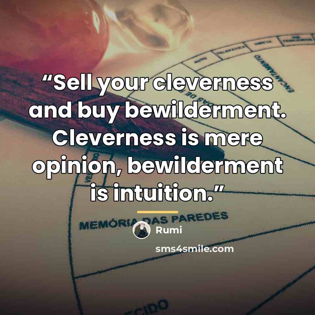 “Sell your cleverness and buy bewilderment. Cleverness is mere opinion, bewilderment is intuition.” quote by Rumi