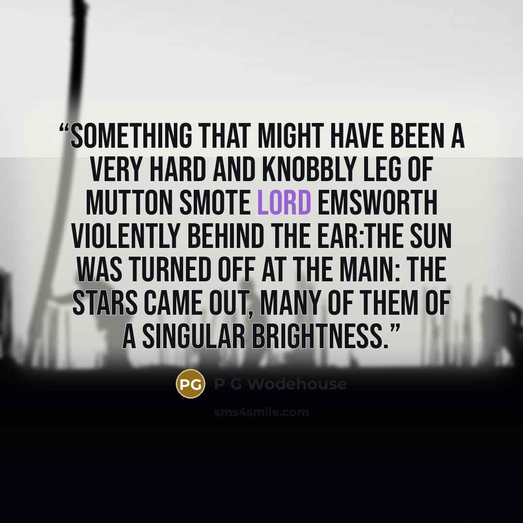 “Something that might have been a very hard and knobbly leg of mutton smote Lord Emsworth violently behind the ear:the sun was turned off at the main: the stars came out, many of them of a singular brightness.” quote by p g wodehouse