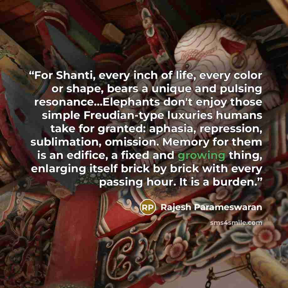 “For Shanti, every inch of life, every color or shape, bears a unique and pulsing resonance...Elephants don't enjoy those simple Freudian-type luxuries humans take for granted: aphasia, repression, sublimation, omission. Memory for them is an edifice, a fixed and growing thing, enlarging itself…” quote by Rajesh Parameswaran