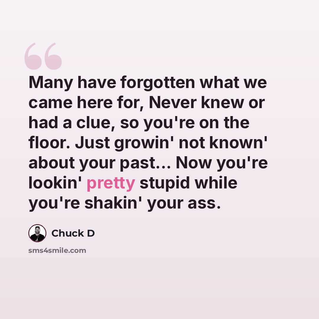 “Many have forgotten what we came here for, Never knew or had a clue, so you're on the floor. Just growin' not known' about your past... Now you're lookin' pretty stupid while you're shakin' your ass.” quote by Chuck D