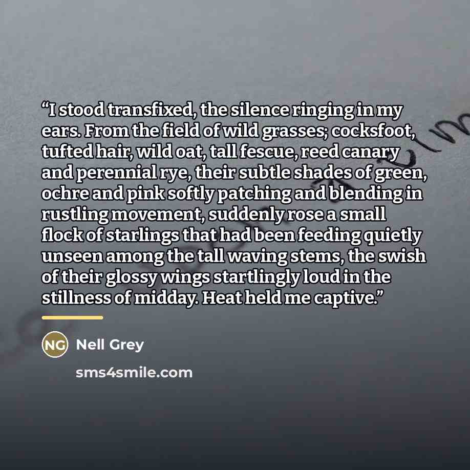 “I stood transfixed, the silence ringing in my ears. From the field of wild grasses; cocksfoot, tufted hair, wild oat, tall fescue, reed canary and perennial rye, their subtle shades of green, ochre and pink softly patching and blending in rustling movement, suddenly rose a small flock of starlings…” quote by Nell Grey
