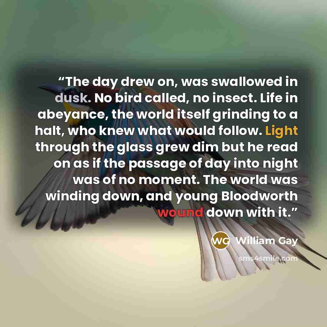 “The day drew on, was swallowed in dusk. No bird called, no insect. Life in abeyance, the world itself grinding to a halt, who knew what would follow. Light through the glass grew dim but he read on as if the passage of day into night was of no moment. The world was winding down, and young…” quote by William Gay