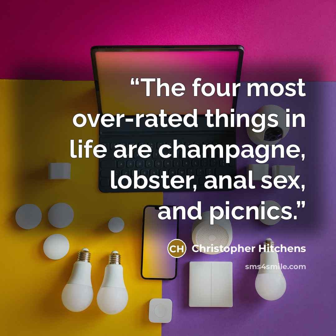 “The four most over-rated things in life are champagne, lobster, anal sex, and picnics.” quote by Christopher Hitchens