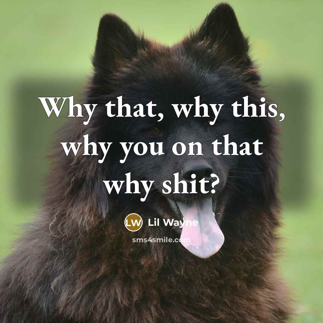 “Why that, why this, why you on that why shit?” quote by Lil Wayne