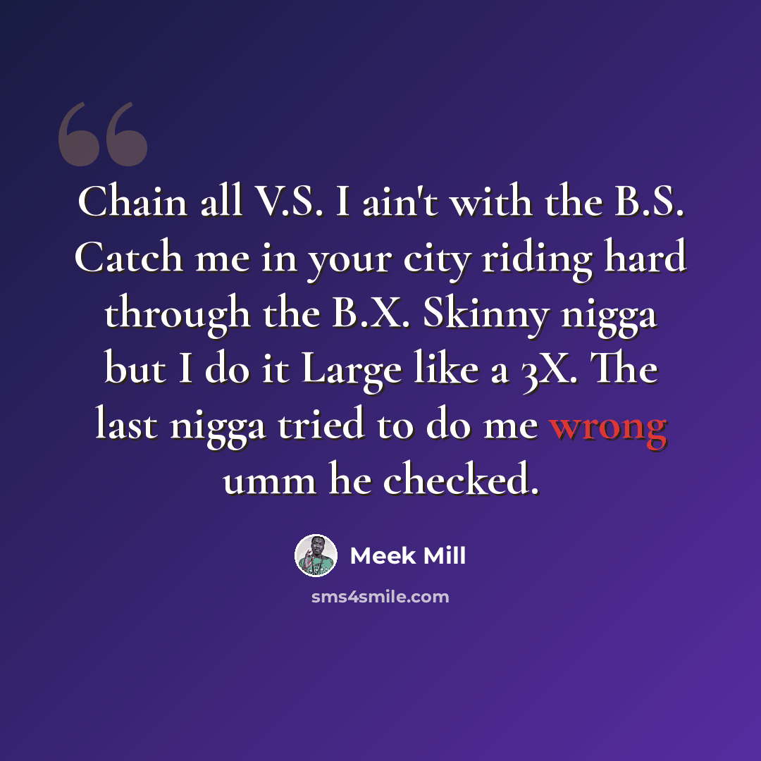 “Chain all V.S. I ain't with the B.S. Catch me in your city riding hard through the B.X. Skinny nigga but I do it Large like a 3X. The last nigga tried to do me wrong umm he checked.” quote by Meek Mill